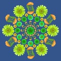 Mandala from dried pressed flowers, petals and leaves. Mandala is symbol of meditation, Buddhism, Hinduism, yoga. Geometric
