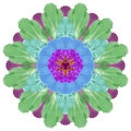 Natural mandala from dried pressed flowers, petals, leaves. Royalty Free Stock Photo