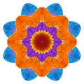 Mandala from dried pressed flowers, petals. Mandala is symbol of Buddhism, Hinduism, yoga. Ornament mandala with pattern floral