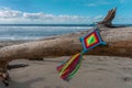 Mandala Eye of God Mexican Huichol Crafts on trunk in Sayulita beach. Royalty Free Stock Photo