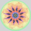 FLOWER MANDALA. PLAIN GRAY BACKGROUND. CENTRAL FLOWER IN PURPLE, ORANGE, BLUE, BROWN. LINEAR CENTRAL DESIGN IN YELLOW, RED, GREEN Royalty Free Stock Photo
