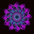 MANDALA FLOWER. PLAIN BLACK BACKGROUND. COLORFUL DESIGN. CENTRAL LINEAR IMAGE.