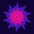 Mandala Flower, Sacred Geometry.