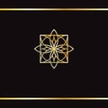 Mandala golden art. Gold ornament on black background. Golden pattern. Logo design template