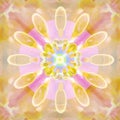 SEEDS MANDALA FLOWER IN PASTEL COLORS PALLET, ABSTRACT BACKGROUND IN BEIGE, GOLD, SOFT PINK