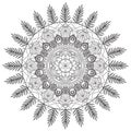 Mandala Intricate Patterns Black and White.