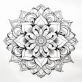 Mandala Line Drawing: Detailed Flower Patterns For Coloring