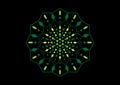 Mandala radial pattern vector art