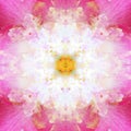 FLOWER ROMANTIC MANDALA IN FUCHSIA, VINTAGE, RETRO AND ROMANTIC, LIGHT WHITE CENTER FLOWER, ABSTRACT BACKGROUND IN FUCHSIA,