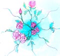 Mandala of roses, pink bush