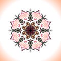 Mandala. Vector ornament in peach colors, round decorative element for your design Royalty Free Stock Photo