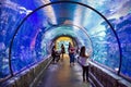 Mandalay bay aquarium Royalty Free Stock Photo