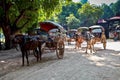 Mandalay, Myanmar - Nov 12, 2019: horse buggy at the Ruins of Ava