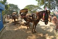 Mandalay Oe Toke Tan pony cart taxi Royalty Free Stock Photo