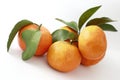 Mandarin