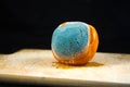 Hand with blue glove holding mandarin with blue dripping mold on a black background