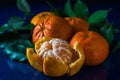 Mandarin citrus still life