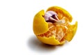 Mandarin and a clove of garlic on white background. Horizontal orientation