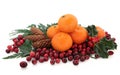 Mandarin and Cranberry Fruit Royalty Free Stock Photo