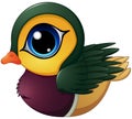 Mandarin duck cartoon