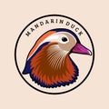 Mandarin duck head illustration design