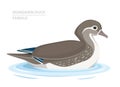 Mandarin Duck swim in the water. Female. Asian Bird. Vector