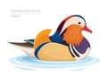 Mandarin Duck swim in the water. Male. Asian Bird. Vector