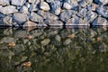 Mandarin ducks on pond or river, five mandarin ducks on lake while sleeping on green lake on stone wall background, stone wall nic