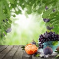 Mandarin, figs and grapes fruits Royalty Free Stock Photo