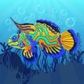 Mandarin fish at the bottom of sea with algae, flat realistic drawing. Cute painted colorful multi-colored fish floating on