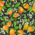 Mandarin Floral Background, Vector Seamless Fruit Pattern, Citrus Fruits, Flowers, Leaves, Limes Branches Texture Royalty Free Stock Photo