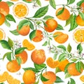 Mandarin Floral Background. Vector Seamless Fruit Pattern, Citrus Fruits, Flowers, Leaves, Orange Branches Texture Royalty Free Stock Photo