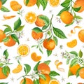 Mandarin Floral Pattern, Vector Seamless Fruit Background, Citrus Fruits, Flowers, Leaves, Limes Branches Texture Royalty Free Stock Photo