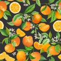 Mandarin Floral Pattern. Vector Seamless Fruit Background, Citrus Fruits, Flowers, Leaves, Orange Branches Texture Royalty Free Stock Photo