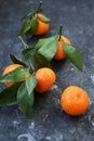 Mandarin is the fruit of an evergreen plant. Bright orange peel has... Mandarins are thought to have appeared in China, from where