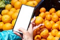 Mandarin fruit in hand and smartphone white