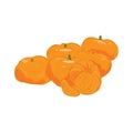 Mandarin Fruit Peeled Watercolor