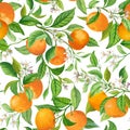 Mandarin Fruit Seamless Tropical Pattern, Colorful Vector Juicy Citrus Fruits, Leaves, Flower Background, Jungle