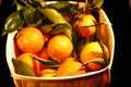 Mandarin fruits in container