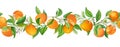 Mandarin Garland Branches Vector Illustration. Vintage Fruits, Flowers and Leaves Greenery Royalty Free Stock Photo