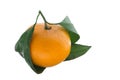 Mandarin with green leafs Royalty Free Stock Photo