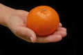 Mandarin-Honey Murcott oranges placed on hand to celebrate for C