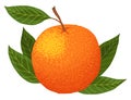 Mandarin icon. Cartoon isolated sweet citrus fruit. Fresh tropical tangerine. Organic vector illustration. Whole orange