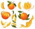 Mandarin icon set. Cartoon isolated sweet citrus fruit. Fresh tropical tangerine. Organic vector illustration. Whole Royalty Free Stock Photo
