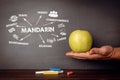 Mandarin, Language learning Concept. Illustration with keywords and icons on a chalkboard background Royalty Free Stock Photo