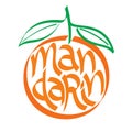 Mandarin, mandarin orange calligraphy, typography. Fruit typography.