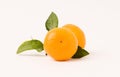 Mandarin orange Royalty Free Stock Photo