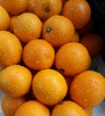 The mandarin orange, also known as mandarin or mandarine, is a small citrus tree fruit.Â  Royalty Free Stock Photo