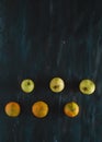 Mandarin Orange and Apples Fresh Fruit on Hand Painted Canvas