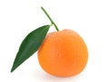 Mandarin orange - citrus reticulata